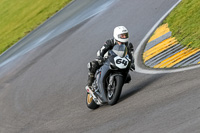 PJ-Motorsport-2019;anglesey-no-limits-trackday;anglesey-photographs;anglesey-trackday-photographs;enduro-digital-images;event-digital-images;eventdigitalimages;no-limits-trackdays;peter-wileman-photography;racing-digital-images;trac-mon;trackday-digital-images;trackday-photos;ty-croes